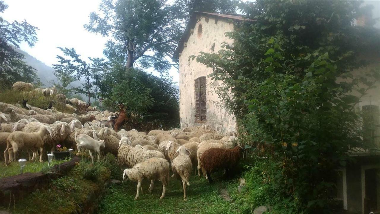 ليمون بييمونت B&B L'Abric - Centro Storico Di Limonetto المظهر الخارجي الصورة